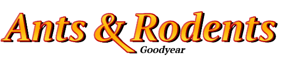 Goodyear Ant Exterminator & Rodent Control Company Logo